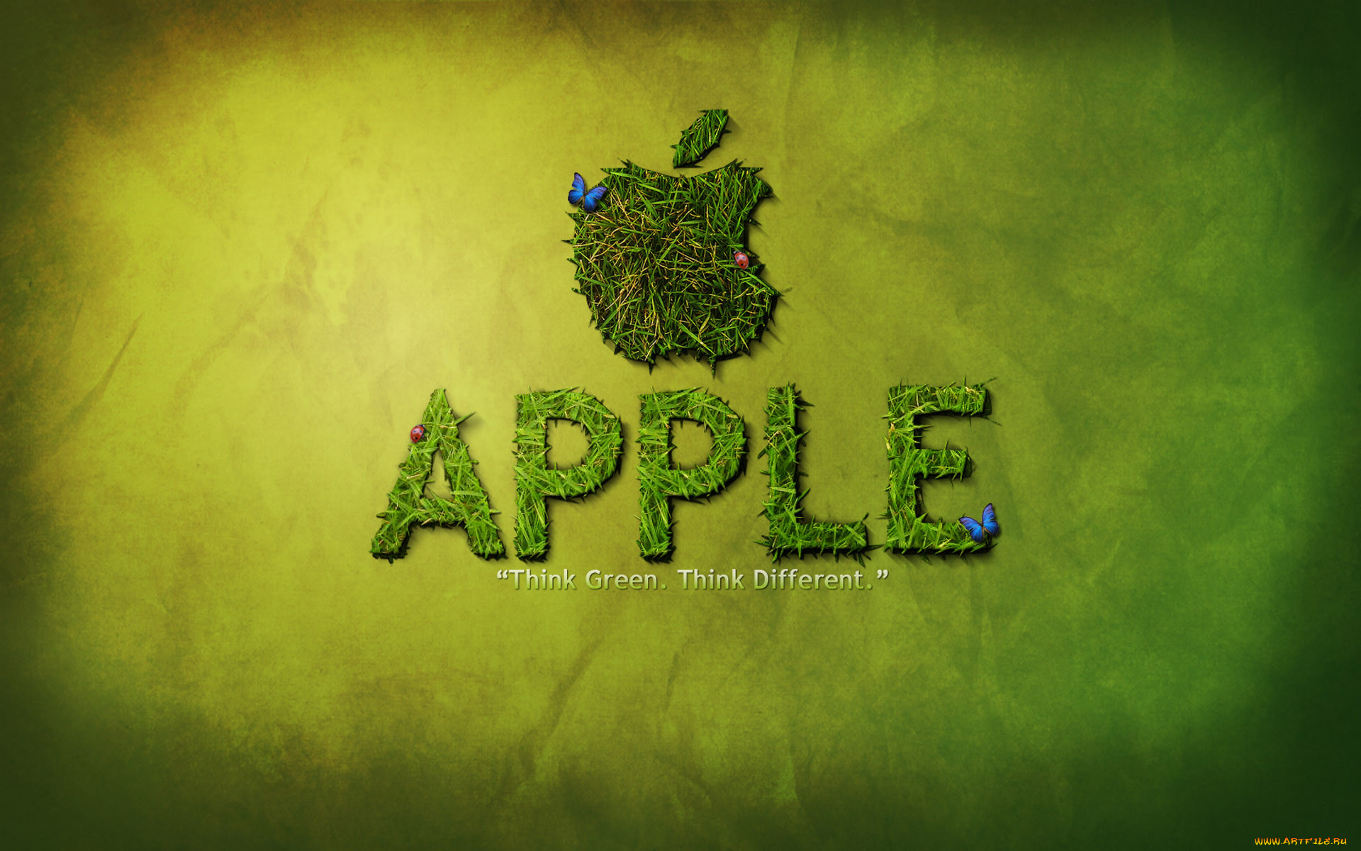 , apple